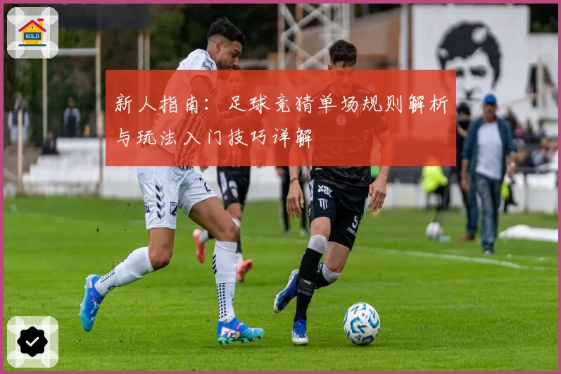 新人指南：足球竞猜单场规则解析与玩法入门技巧详解