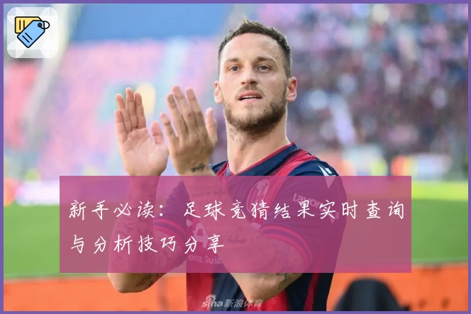 新手必读：足球竞猜结果实时查询与分析技巧分享