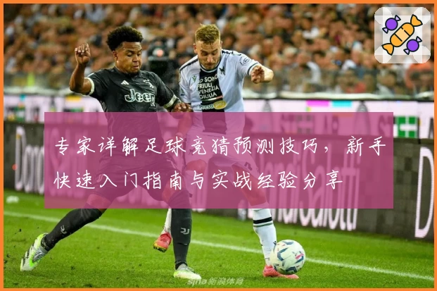 专家详解足球竞猜预测技巧,新手快速入门指南与实战经验分享